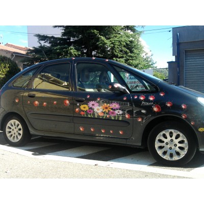 Sticker autocollant décoration nature pour votre voiture